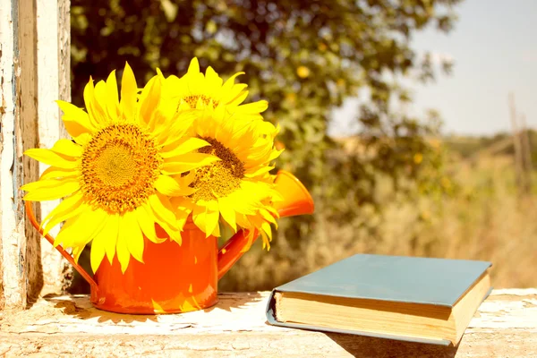 Books, reading, sunflower