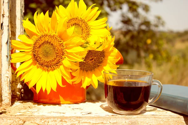 Sunflower, coffee, summer