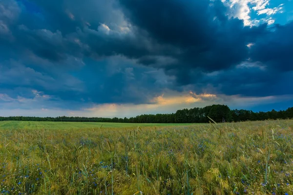 Beautiful stormy sky over fields in Poland