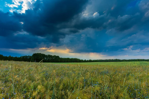 Beautiful stormy sky over fields in Poland
