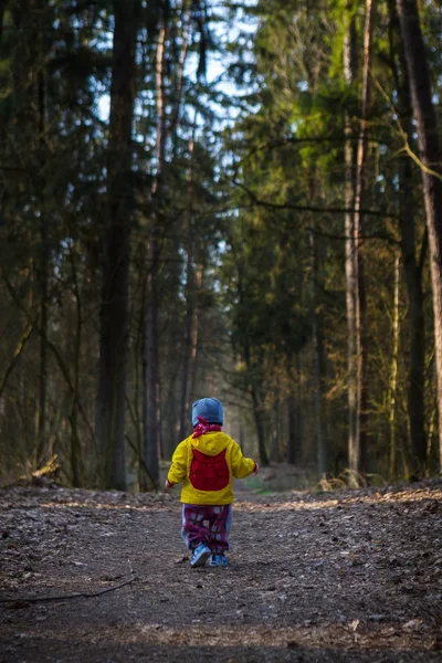 Toddler child walking by path in forest