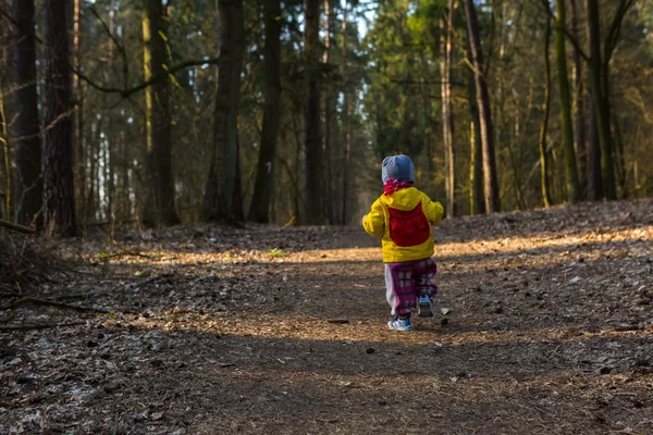 Toddler child walking by path in forest