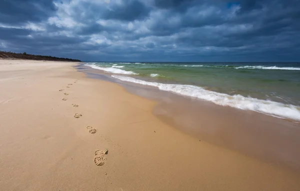 Shore of Baltic sea.