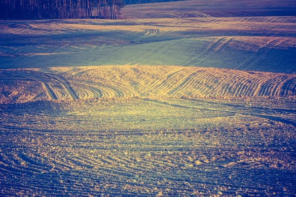 Plowed field in calm countryside