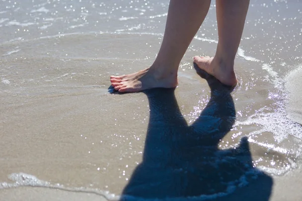 Female  legs walking