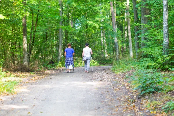 Two old womans nordic walking through forest path.