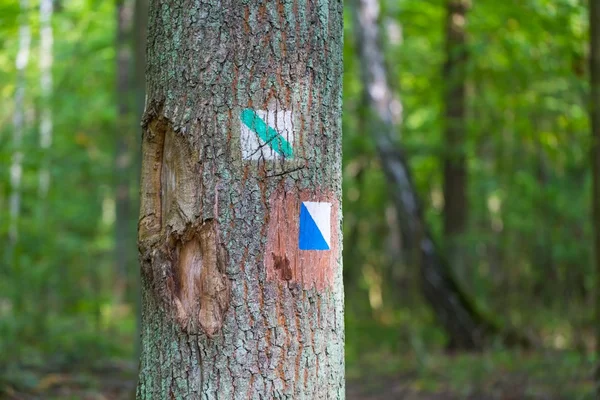 Trail sign painted on tree