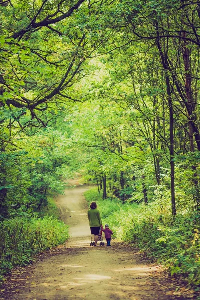 Vintage photo of mother with stroller and baby walking by summer forest path