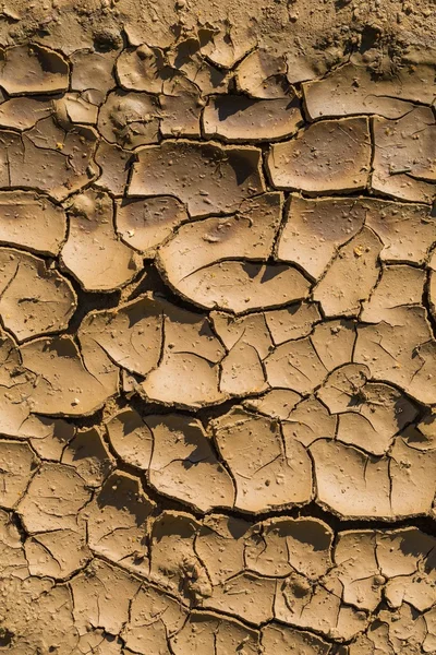 Close up of dried puddle