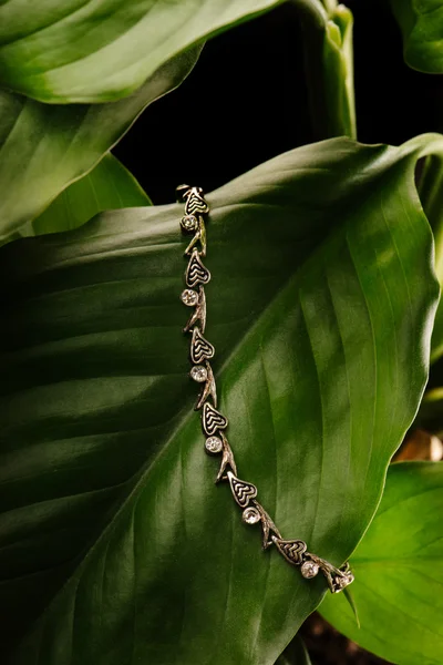 Silver wristband with diamonds laying on a green leaf