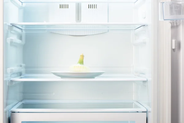 White onion on white plate in open empty refrigerator