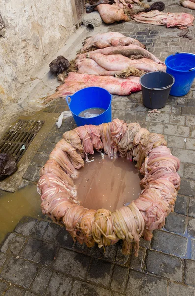 Goat intestines on street of Fes in Morocco