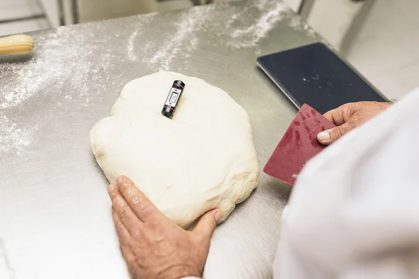 Baker kneading dough in a bakery.