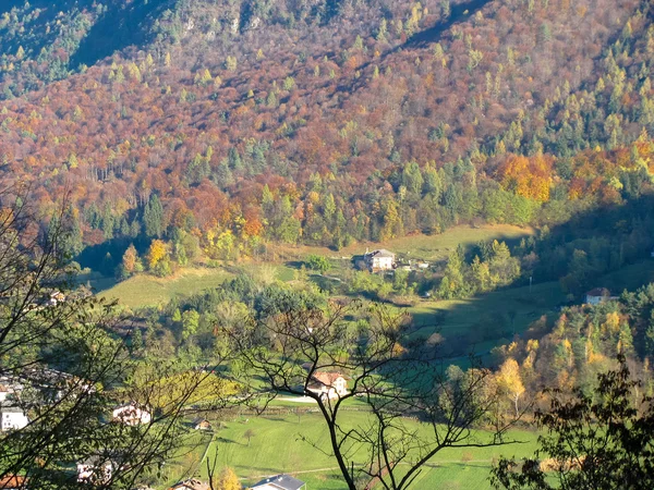 Mountains  autumn trees panorama