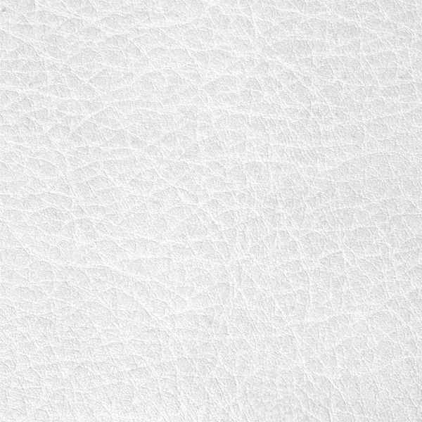 White leather texture or background