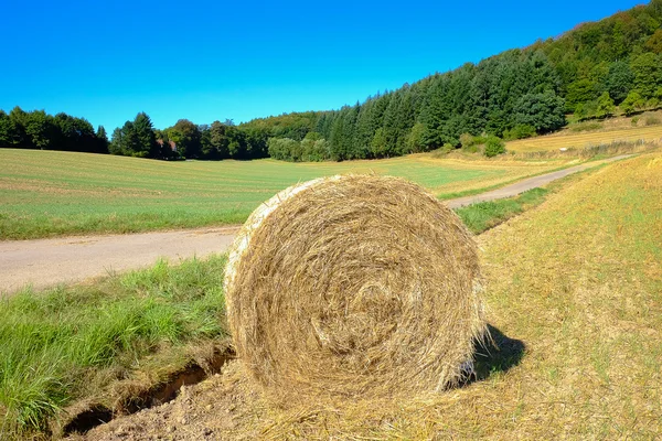 Coils of hay in the field after the grain harvest in Germany.