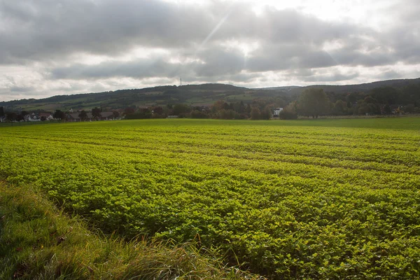 An agricultural landscape in Bad Pyrmont, Germany.