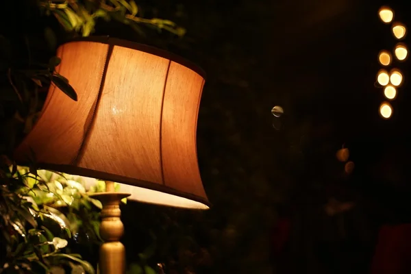 Table lamp with plant in the dark
