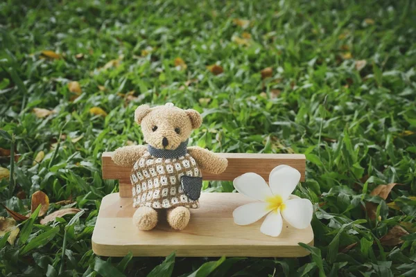 Teddy bear toy and white flower on chair