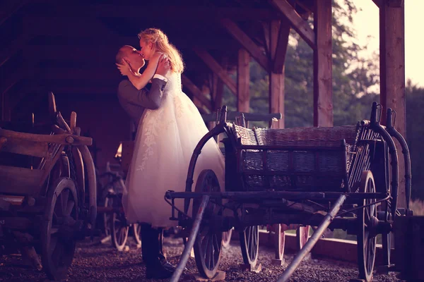Bride and groom near carriage