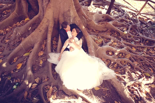 Bride and groom sitting on roots of tree