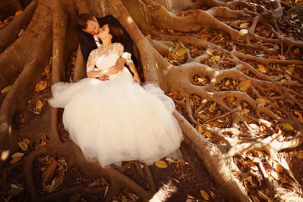 Bride and groom sitting on roots of tree