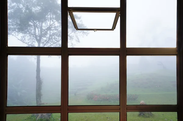 Open window to see trees in the fog in Thailand