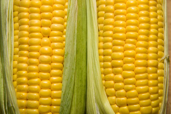 Several ears of corn on the old tissue