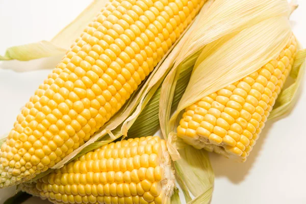 Several ears of corn on over white