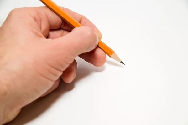 Men\'s left hand holding a pencil on over white