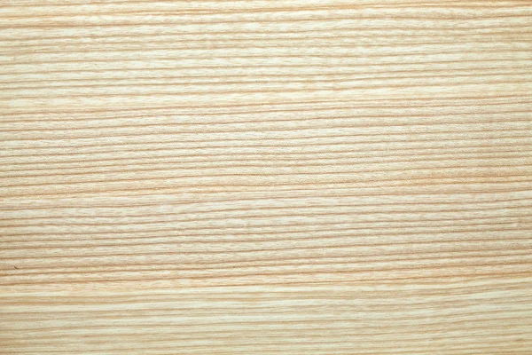 Ash wood texture