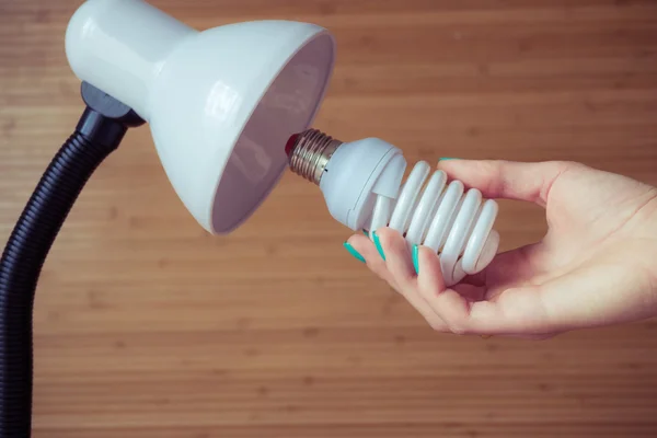 Installation of a modern economical bulb in a table lamp