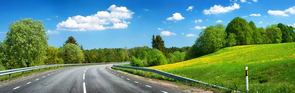 Asphalt road and dandelion field