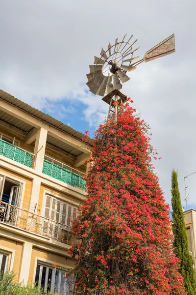 Wind vane, Street in old town, Nicosia, Cyprus