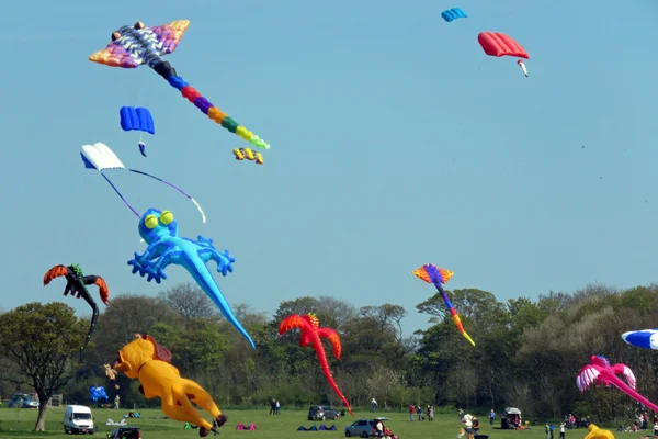 A Kite Festival