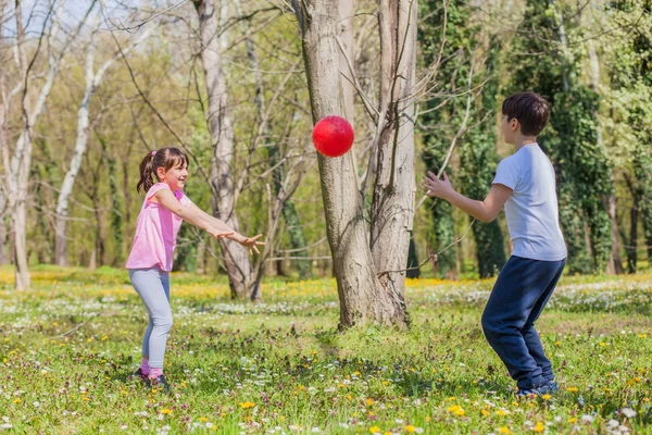 Boy and girl playing with ball in park