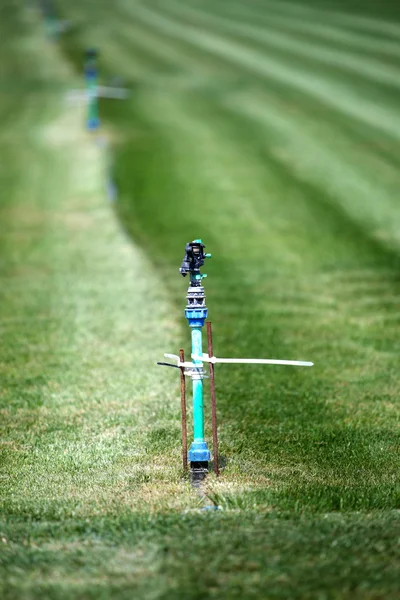 Grass garden spring sprinkle water in a row