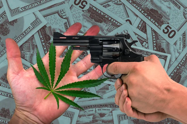 Marijuana and gun in his hands on the dollars background