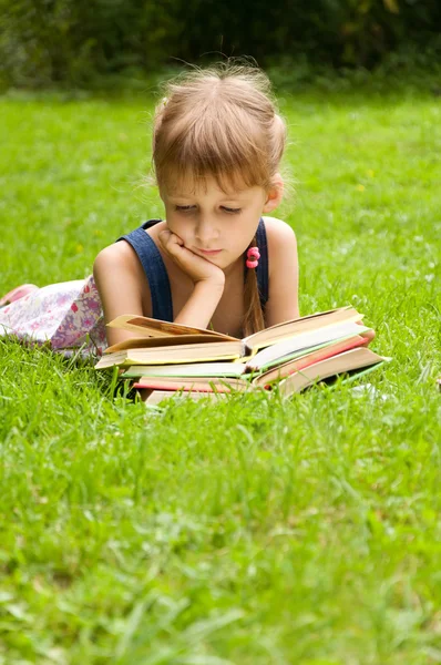 Smart little pupil is reading book
