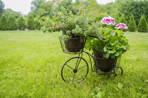 Stand for flowers in the form of a bicycle.