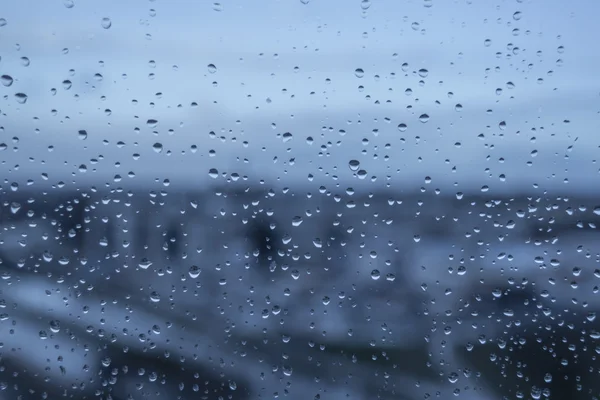 Drops of  rain on a window