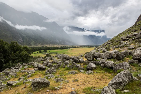 Low clouds on the way to mushroom rocks, Altai.