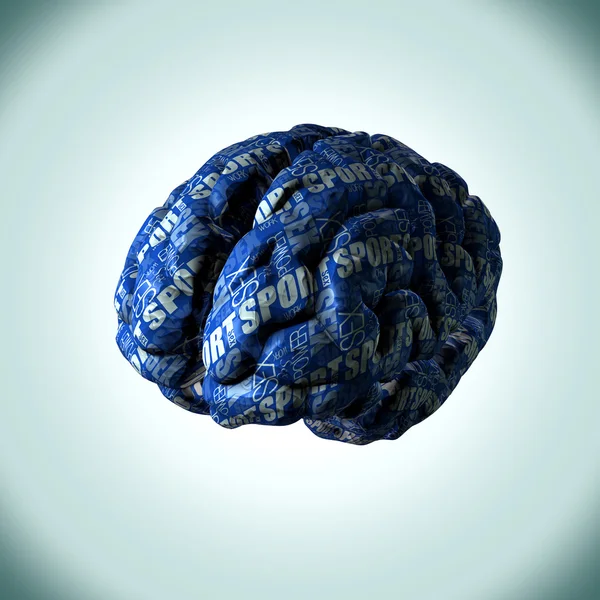 Brain made from paper depicting the desires, concepts and thoughts of a mans brain.