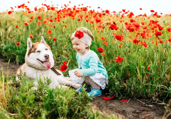 Little girl playing with dog