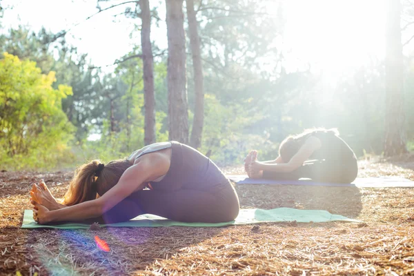 Two women practicing yoga in the wood