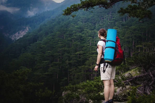 Caucasian hiker woman on trek in mountains with backpack living a healthy active lifestyle. Hiker girl on nature landscape hike in Crimea.