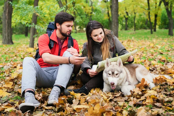 Young caucasian couple hiking with siberian husky dog. Hikers with map and compass in autumn wood