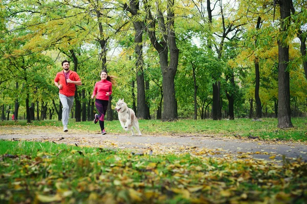 Young caucasian couple with husky dog running in autumn park, couple jogging together