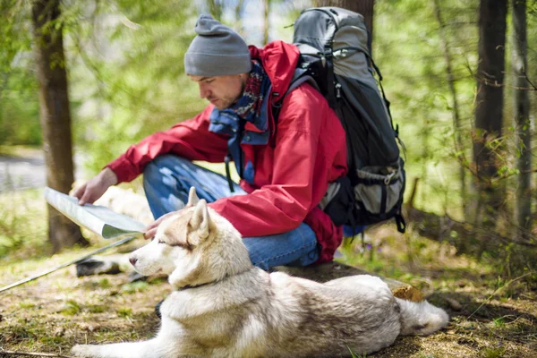 Young caucasian male with a map and siberian husky dog in the forest, hiker looking at map outdoors