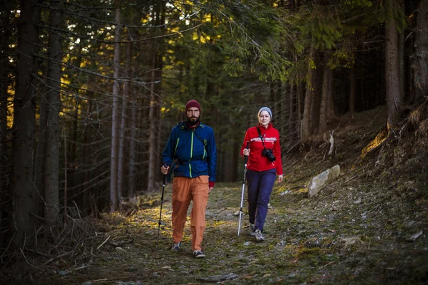 Young caucasian couple hiking in the wood